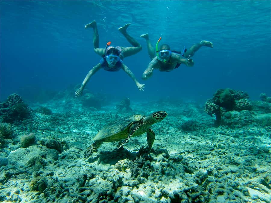 From Lombok: Gili Islands Snorkeling Day Trip - Nipah Beach Start and the Lombok Straight Views