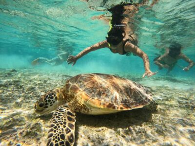 Gili Islands Snorkeling Day Trip