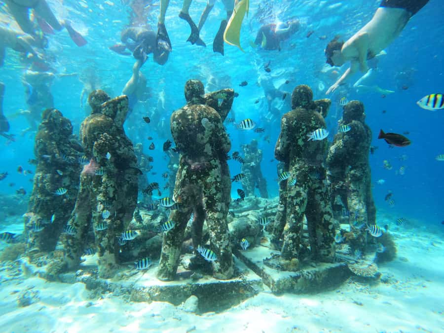 From Lombok: Gili Islands Snorkeling Day Trip - Gili Trawangan: Walking the Island and a First Reef Check