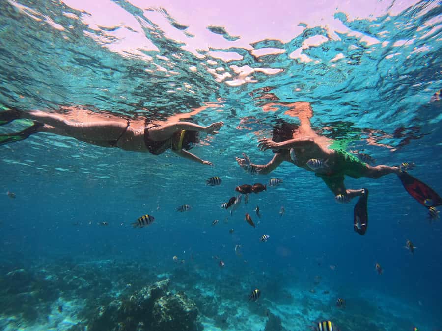From Lombok: Gili Islands Snorkeling Day Trip - Gili Meno Snorkeling and Those Underwater Sculptures
