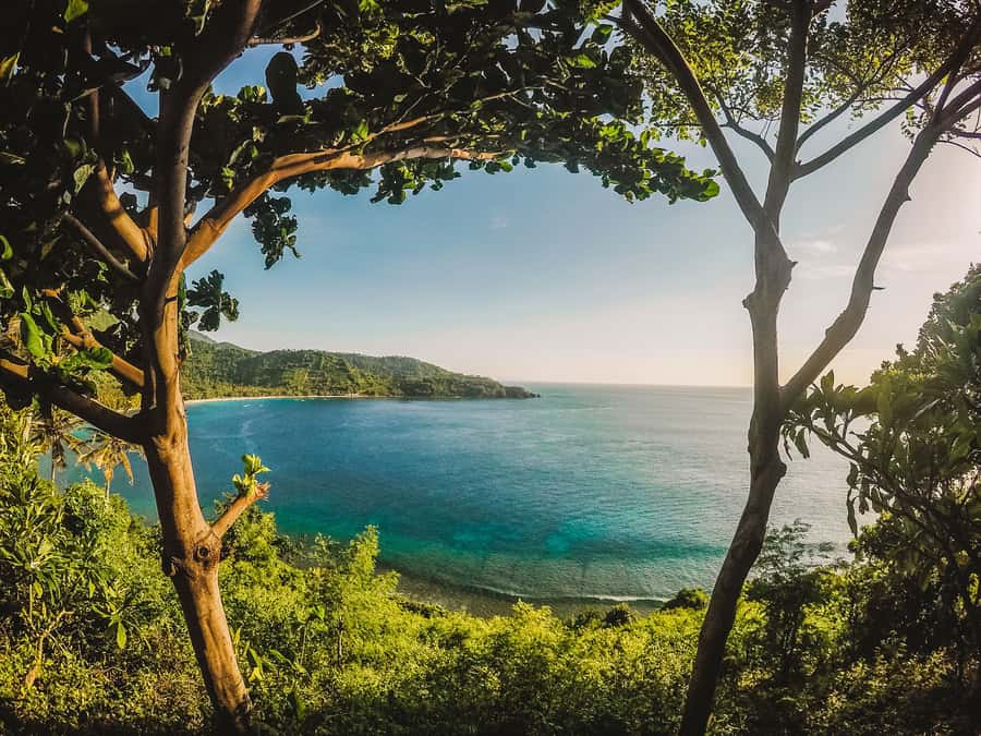 From Lombok: Private Gili Islands Trip w. Glass-Bottom Boat - Snorkeling Comfort and Photo Tips That Actually Help
