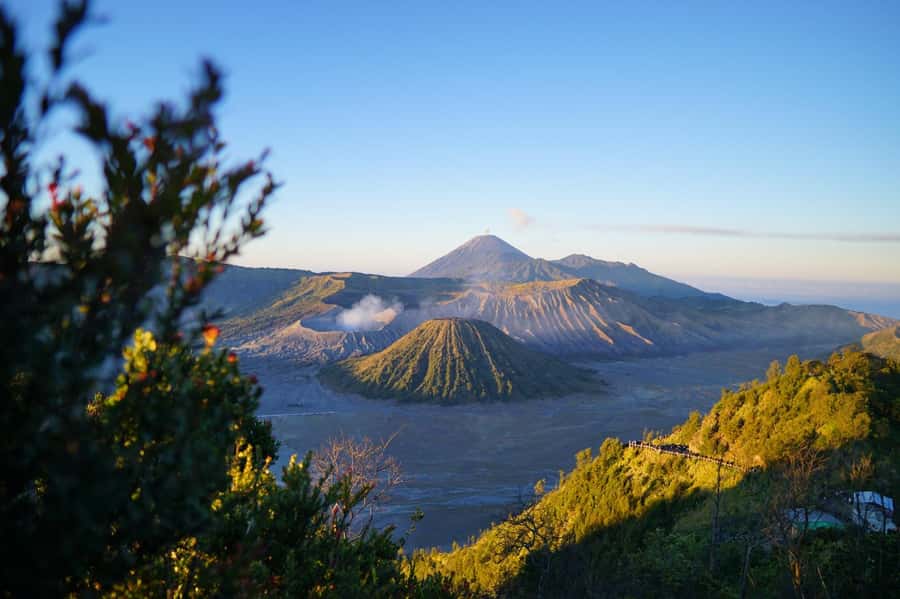 From Malang: 1-Day Mount Bromo Shared Trip - Crater Time: 248 Stairs, Steaming Views, and Sulphur in Your Face