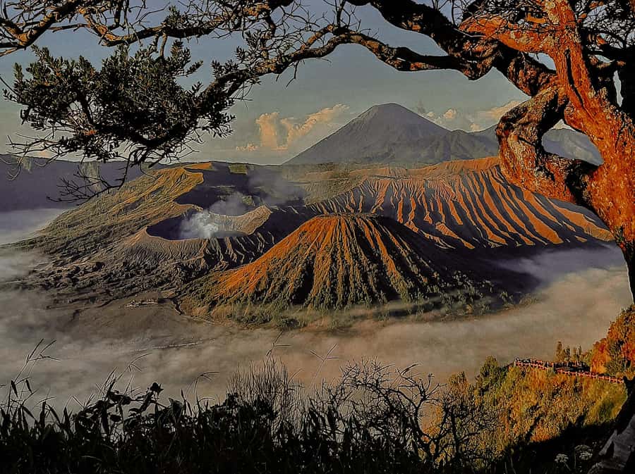 From Malang: Shared Mount Bromo & Ijen Tours Start - 2D1N - Why this 2-day Bromo and Ijen combo makes sense from Malang
