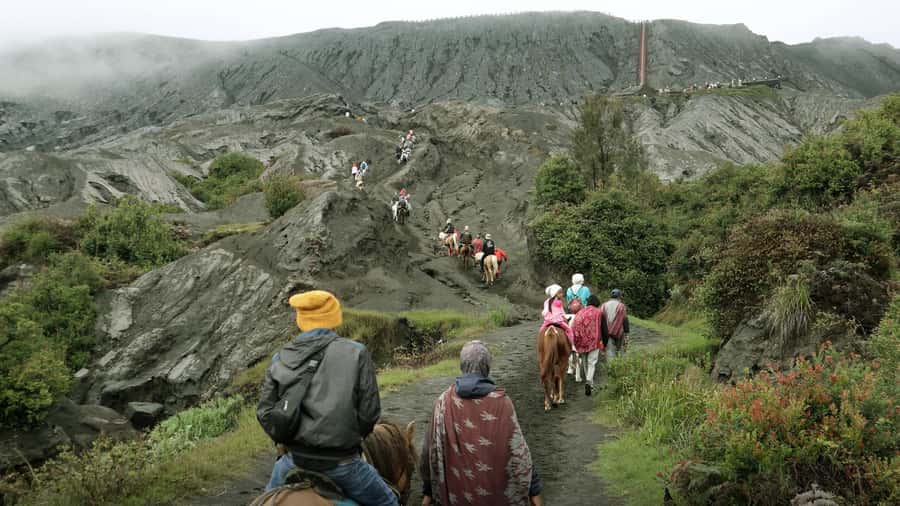 From Malang/Surabaya: Mount Bromo Sunrise Ultimate (Shared) - Price and value: is $32 actually a good deal?