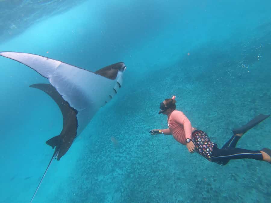 From Nusa Penida: 3 Spots Snorkeling Tour with Manta Rays - Key points worth planning around