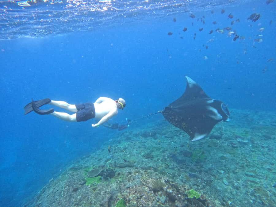From Nusa Penida: 3 Spots Snorkeling Tour with Manta Rays - Where the day starts: Toyapakeh Harbour and the pre-boat setup