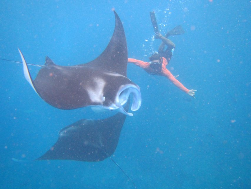 From Nusa Penida: 3 Spots Snorkeling Tour with Manta Rays - Stop 1: the manta ray water window at Manta Bay, and how they keep it safe