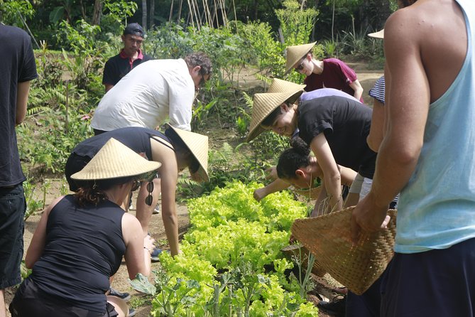 From Ubud: Authentic Bali Farm Cooking School & Organic Farm - Price and value: why $38 can make sense