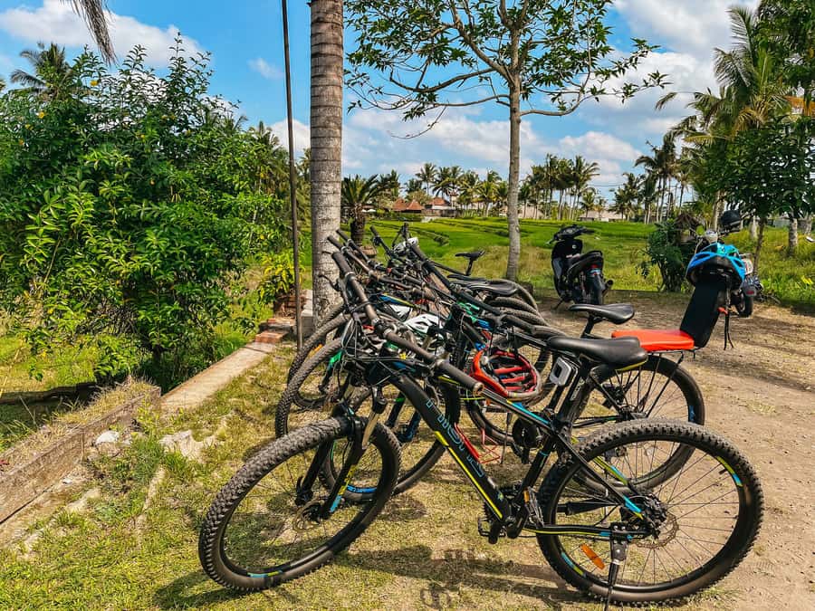 From Ubud: Downhill Bike Tour with Rice Terraces and Meal - Kintamani to Ubud: why this ride beats the usual Bali circuit