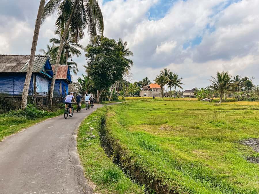 From Ubud: Downhill Bike Tour with Rice Terraces and Meal - Getting to the start: volcano views and the bike fit that matters