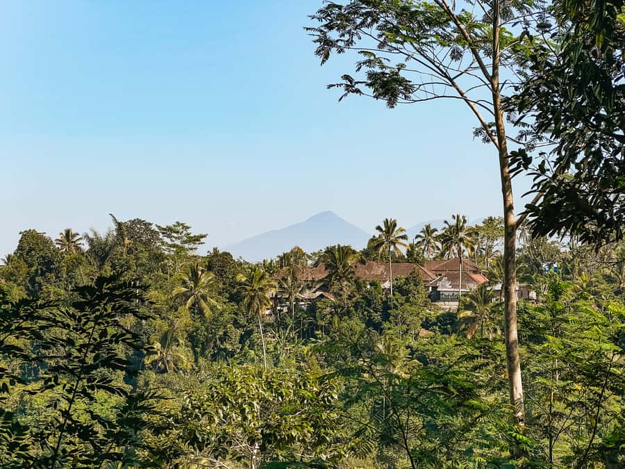 From Ubud: Downhill Bike Tour with Rice Terraces and Meal - The downhill ride itself: easy effort, real braking, real focus