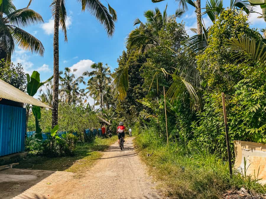 From Ubud: Downhill Bike Tour with Rice Terraces and Meal - Breakfast at a coffee plantation, plus a real Ubud meal