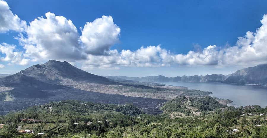 From Ubud: Downhill Bike Tour with Rice Terraces and Meal - The full 6-hour flow, from minivan pickup to the rice-field meal