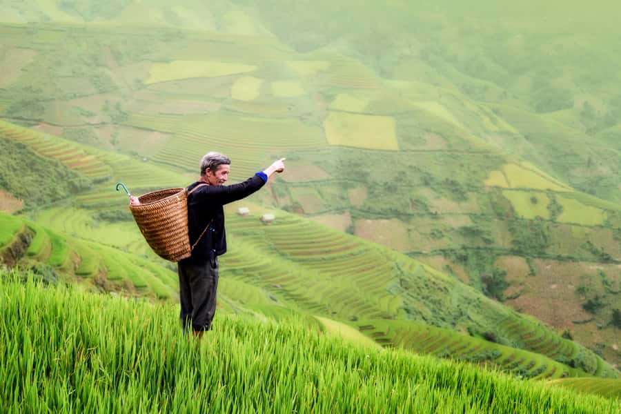 From Ubud: Evening Firefly Tour in Taro Village - Taman Dukuh Agroforestry farm walk, plants, and the “how food grows” lesson
