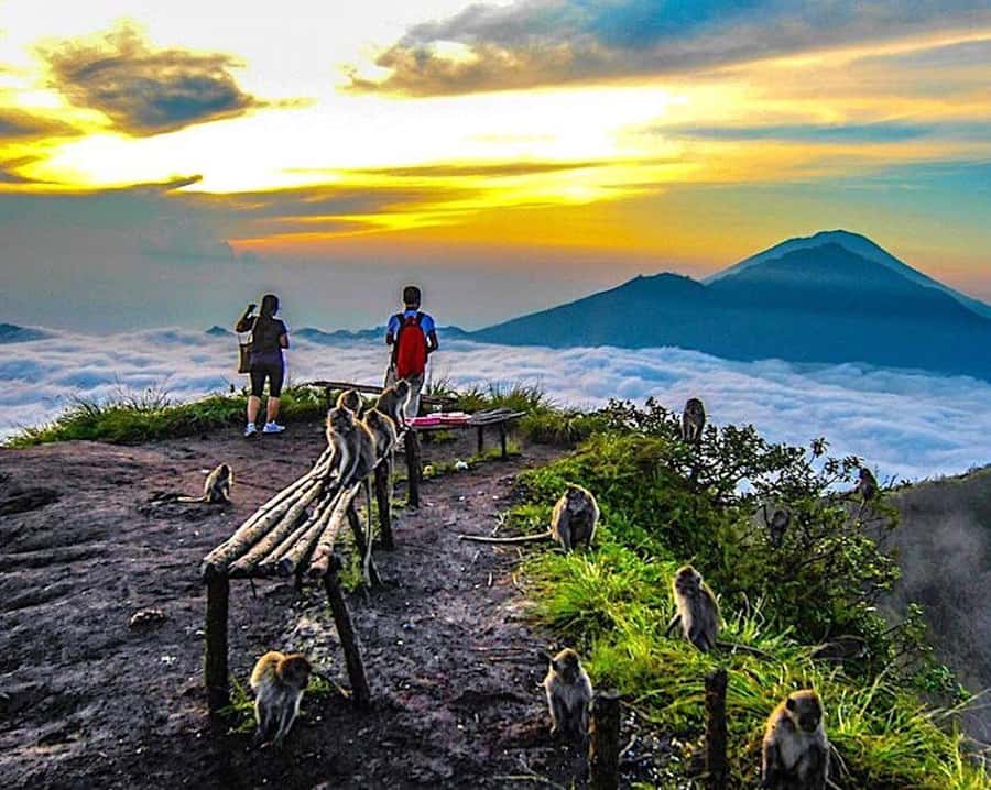 From Ubud: Mount Batur Hiking - Optional coffee plantation stop: a calmer add-on after the hard part