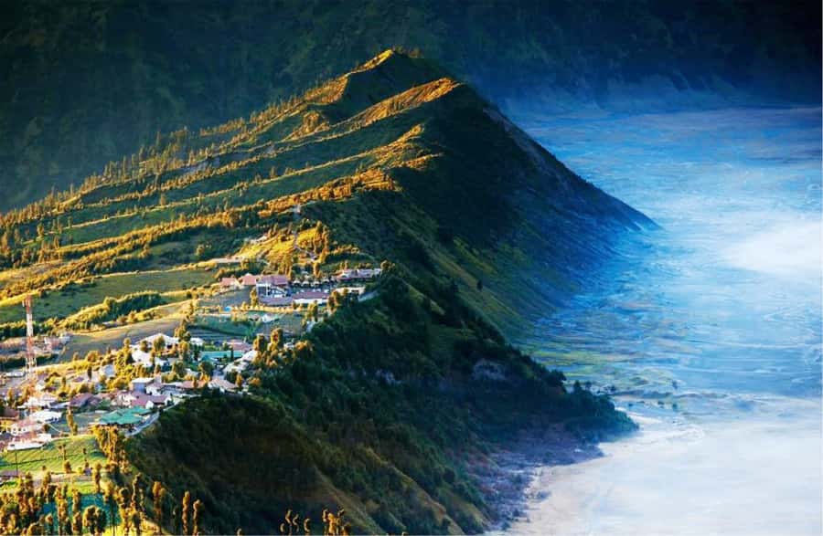 From Yogyakarta: Borobudur, Mount Bromo, and Ijen 4-Day Tour - Day 3 Bromo Sunrise, Breakfast Back at Base, Then Bondowoso for Ijen