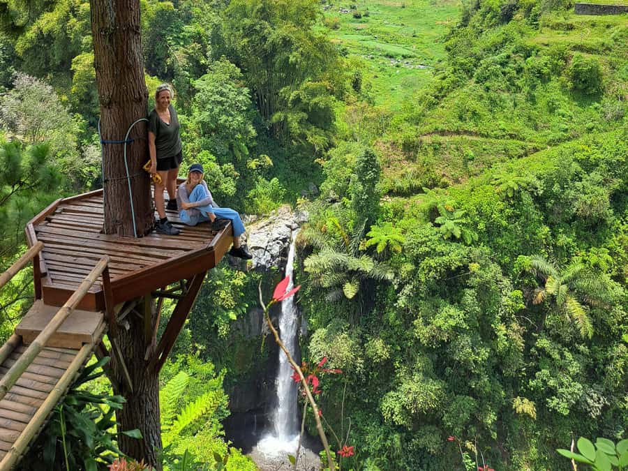 From Yogyakarta: Hidden Waterfall & Selogriyo Rice Terraces - Key highlights worth getting excited about