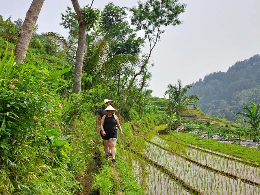 From Yogyakarta: Hidden Waterfall & Selogriyo Rice Terraces - Kedung Kayang Waterfall: The Hike, Merapi Backdrop, and the Swim Moment