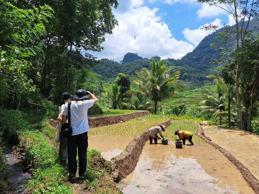 From Yogyakarta: Hidden Waterfall & Selogriyo Rice Terraces - Getting From Your Hotel to the Countryside, Without Turning It Into a Chore