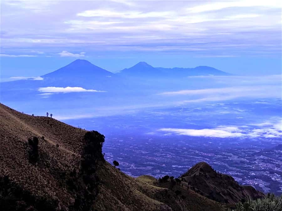 From Yogyakarta: Mount Merbabu One Day Hiking Tour - Should you book this Mount Merbabu one-day tour?