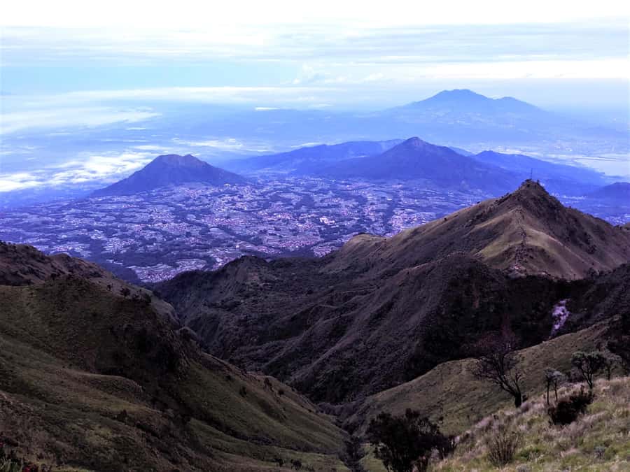From Yogyakarta: Mount Merbabu One Day Hiking Tour - From tropical forest to green savannas around 2,770m