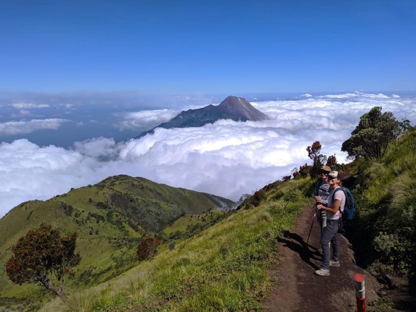 From Yogyakarta: Mount Merbabu One Day Hiking Tour - Price and logistics: what you pay, what you pay extra, and why it’s still good value