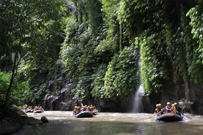 Full-Day Ayung River White Water Rafting and Ubud Tour - Lunch and rhythm: how the meal fits the day