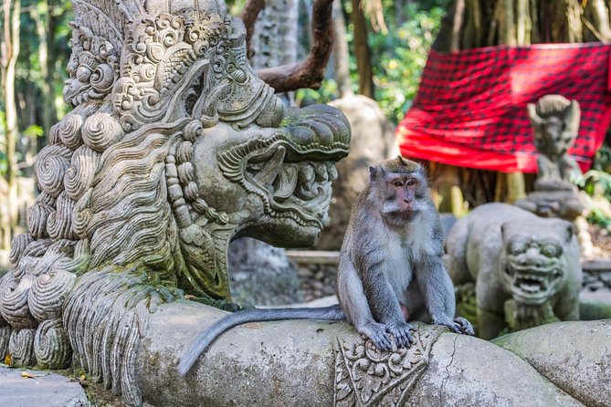 Full-Day Ayung River White Water Rafting and Ubud Tour - Sacred Monkey Forest Sanctuary: seeing macaques up close, the right way