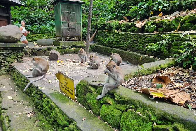 Full Day Best of Ubud Private Tour - Celuk Art Village: Where the Silverwork Shows Up in Real Life