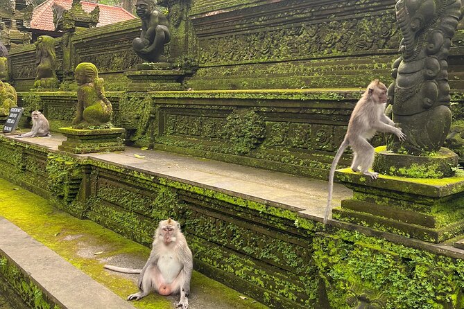 Full Day Best of Ubud Private Tour - Tirta Empul Temple: Sacred Spring, and the Temple Rules You Must Know