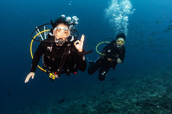 Full-Day Discover Scuba Diving Tour for Beginners in Tulamben - Tulamben beginner scuba: why this area works so well for your first day