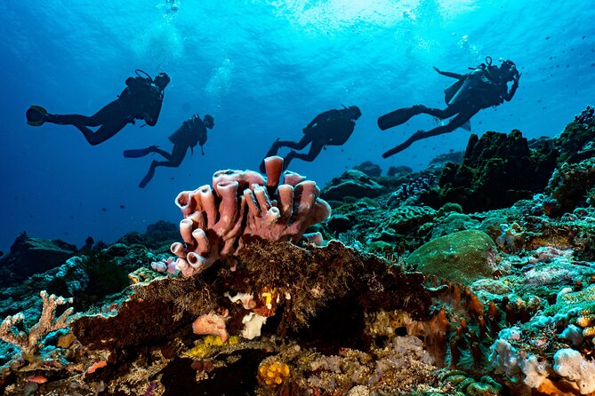Full-Day Discover Scuba Diving Tour for Beginners in Tulamben - Tulamben Beach and the break: where your energy gets restored