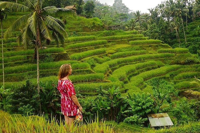 Full-Day in Bali: Private Design-Your-Own Tour - What you’re really paying for at $35 per person