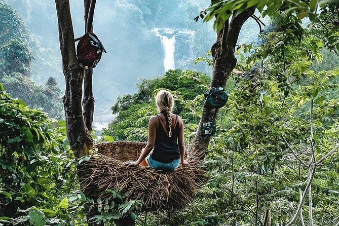 Full-Day in Bali: Private Design-Your-Own Tour - Traffic reality in Ubud and south Bali, and why a smart order helps