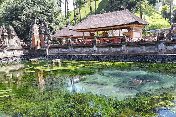 Full Day Kintamani Volcano View and Ubud Village Tour - Amora Bali Buffet Lunch: Indonesian Food Plus Mt. Batur Views