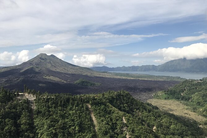 Full Day Kintamani Volcano View and Ubud Village Tour - Ubud Monkey Forest Sanctuary: Temple Grounds With a Wild Side