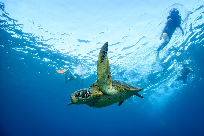 Full Day Land and Sea Tour to Nusa Penida with 4 Snorkeling Spots - Gamat Bay: the clear-water calm stop