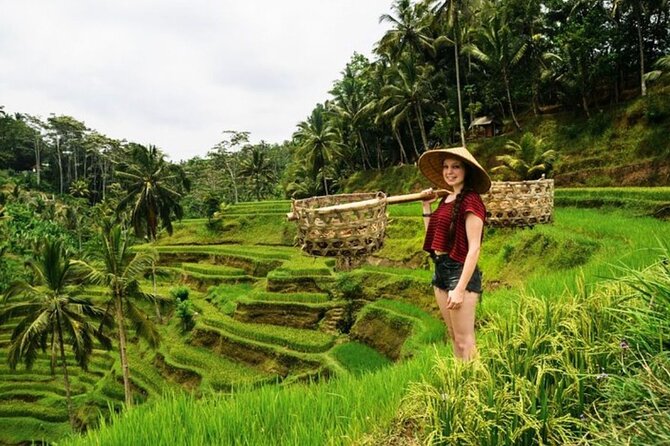Full Day Private Guided Tour in Bali - Why this Ubud day tour feels worth your time