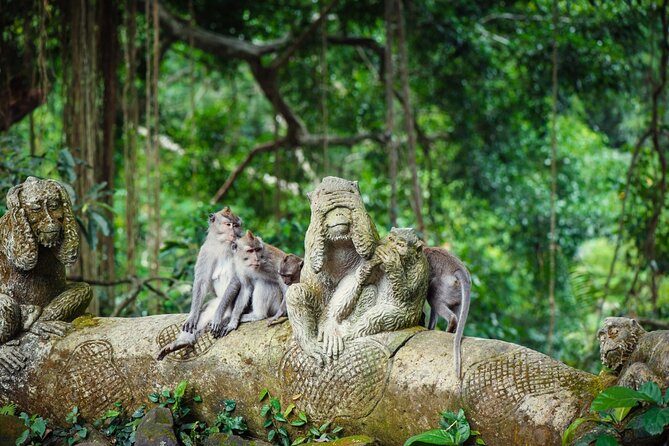 Full Day Private Guided Tour to Bali - Stop 3: Kintamani Highland, Batur Volcano views and lunch at your expense