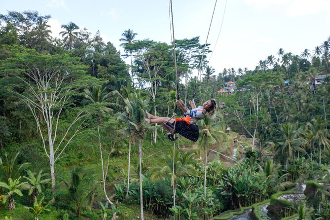 Full Day Private Guided Tour to Bali - Stop 5: Sacred Monkey Forest Sanctuary, temples, trees, and a lot of energy