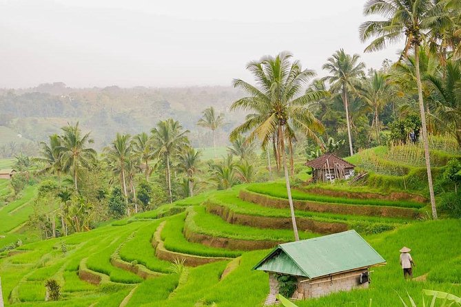 Full-Day Private North Bali Tour with Free WiFi - Pickup, A/C comfort, and Wi-Fi that saves your battery