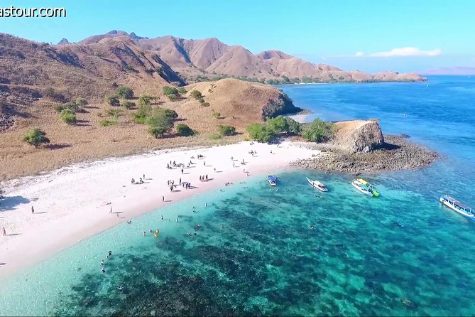Full Day Tour to Komodo Island By Speed Boat to explore 6 destinations - Pink Beach and snorkeling stops: where the time goes