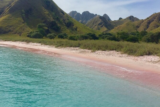 Full Day Tour to Komodo Island By Speed Boat to explore 6 destinations - Price and logistics: what you pay, what you don’t