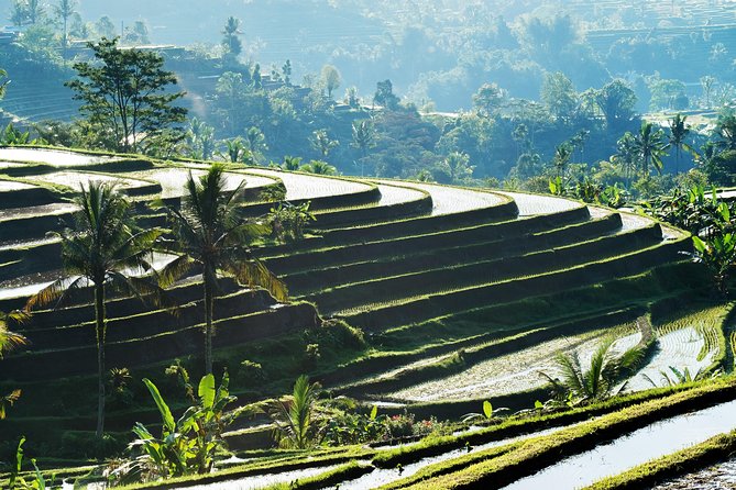 Full-Day Tour to Water Temples and UNESCO Rice Terraces in Bali - Getting Set Up: Pickup, Timing, and a 10-Hour Day Plan