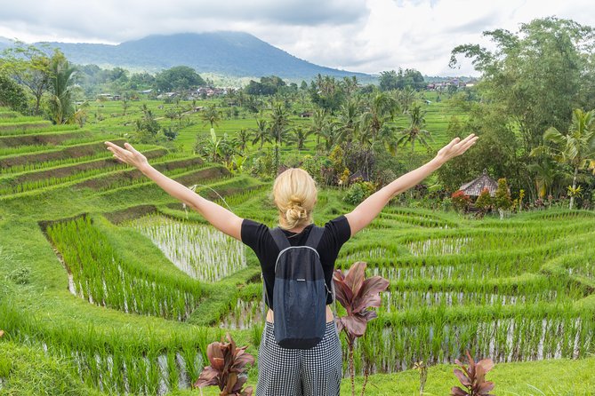 Full-Day Tour to Water Temples and UNESCO Rice Terraces in Bali - Tanah Lot at Sunset: Lava Rock, Low Tide, and Ocean-Air Drama