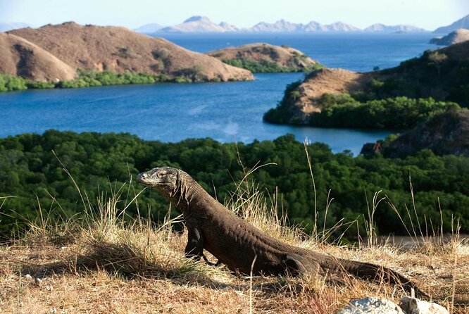 Full Day Trip to Explore 6 Destinations in Labuan Bajo and Komodo - Key Highlights You Should Actually Care About
