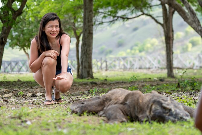 Full Day Trip to Explore 6 Destinations in Labuan Bajo and Komodo - Stop 2, Pink Beach: Camera Time and Snorkel Optionality