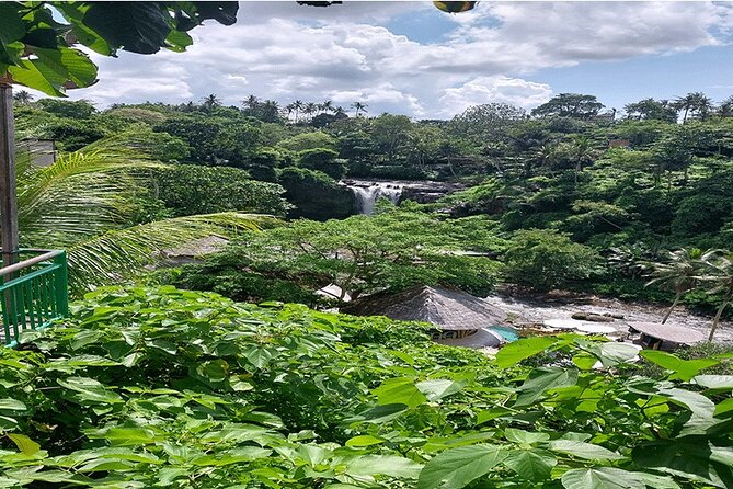 Full Day Ubud Tour - How this private Ubud day flows from hotel to jungle swing
