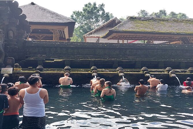 Full Day Ubud Tour - Price and value: what $95 really buys you in Ubud