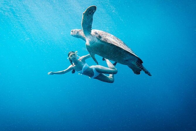 Gili Island Snorkeling Trip - Gili Trawangan, Gili Meno, & Gili Air, From Lombok - Key things to know before you go